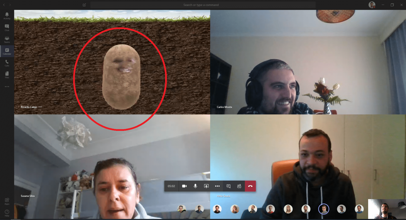 potato skype meeting